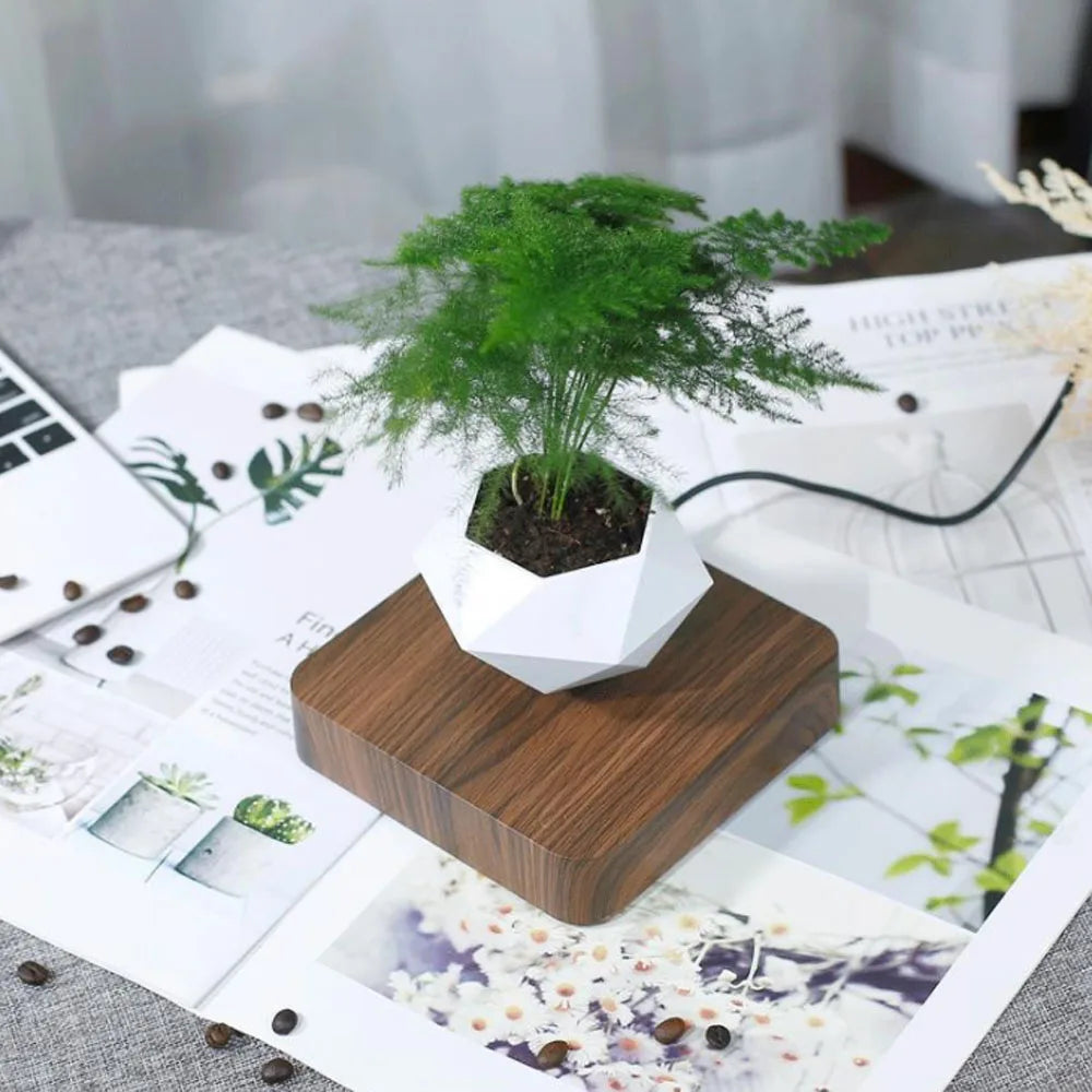 Levitująca Doniczka Bonsai – Obracająca się w Powietrzu! | Magnetyczna Doniczka Bez Roślin | Designerska Dekoracja do Domu